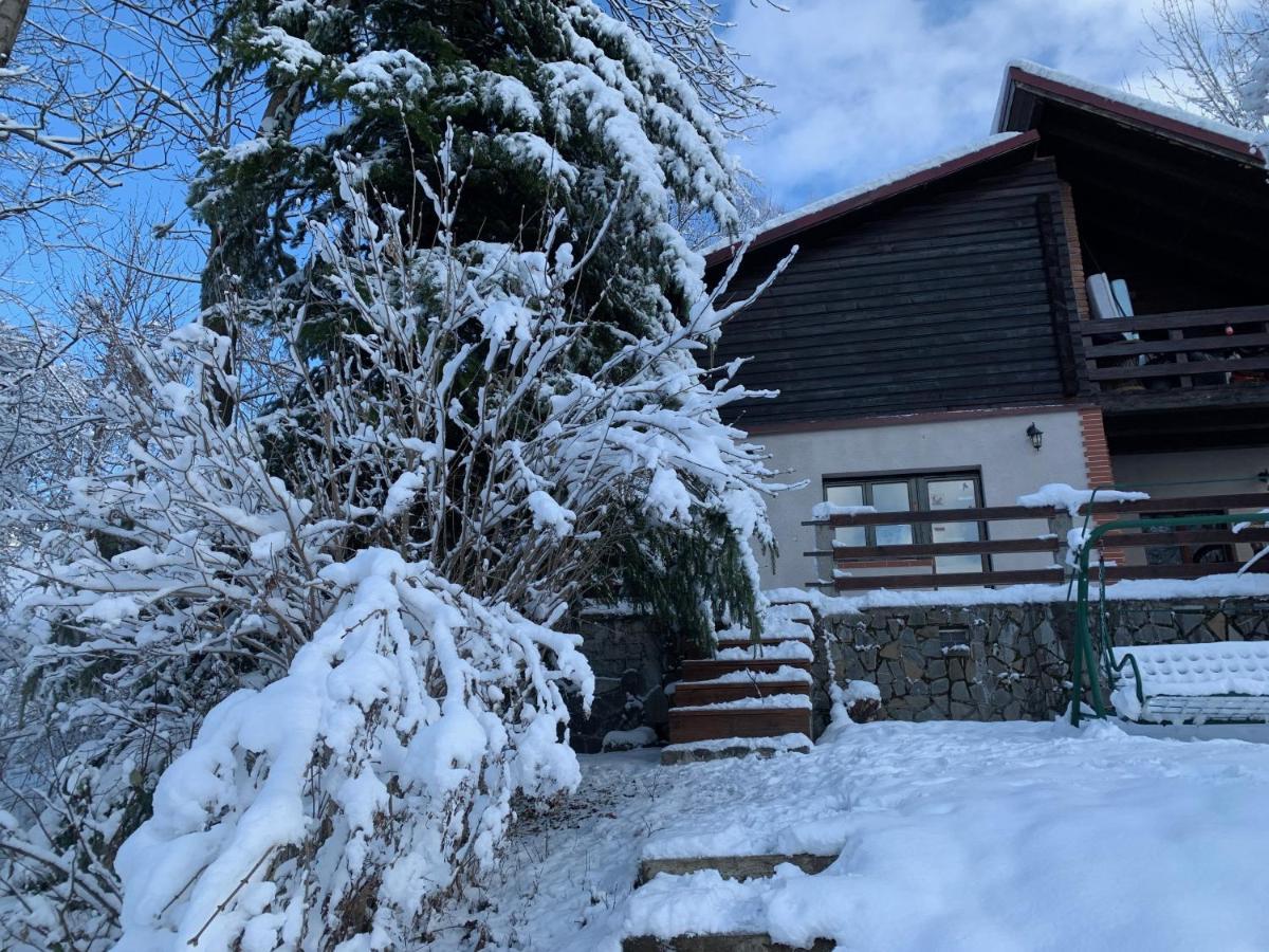 Mountain Family Chalet On Prahova Valley Comarnic Exterior foto